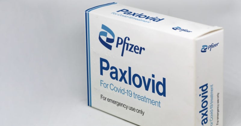 paxlovid pfizer e1642553013160
