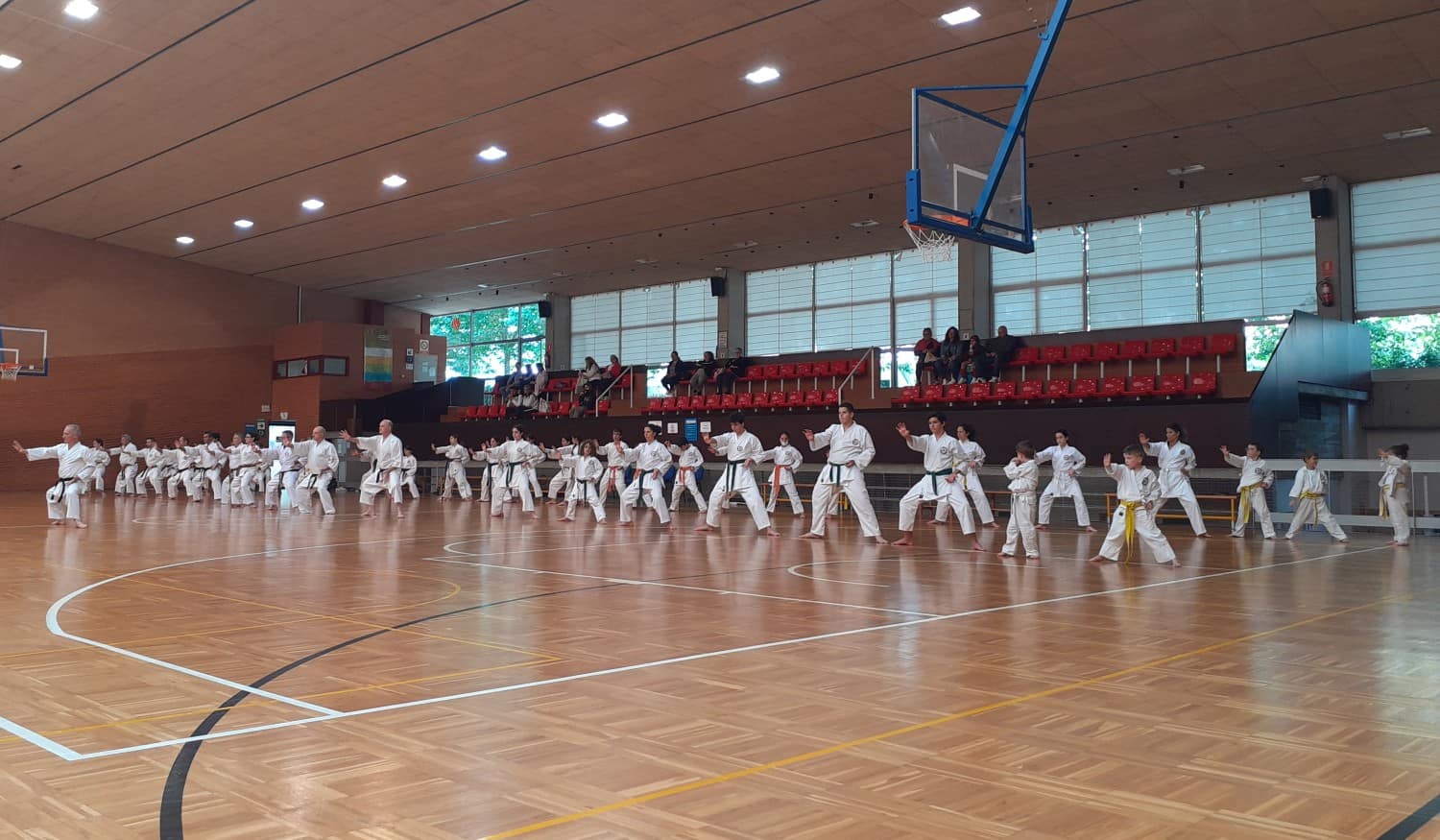 karate escola marco