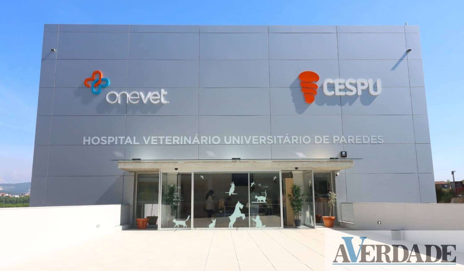 hospital universitario cespu 2024